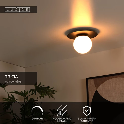 Lucide TRICIA - Plafonnière - Ø 25 cm - 1xE27 - Zwart - USP